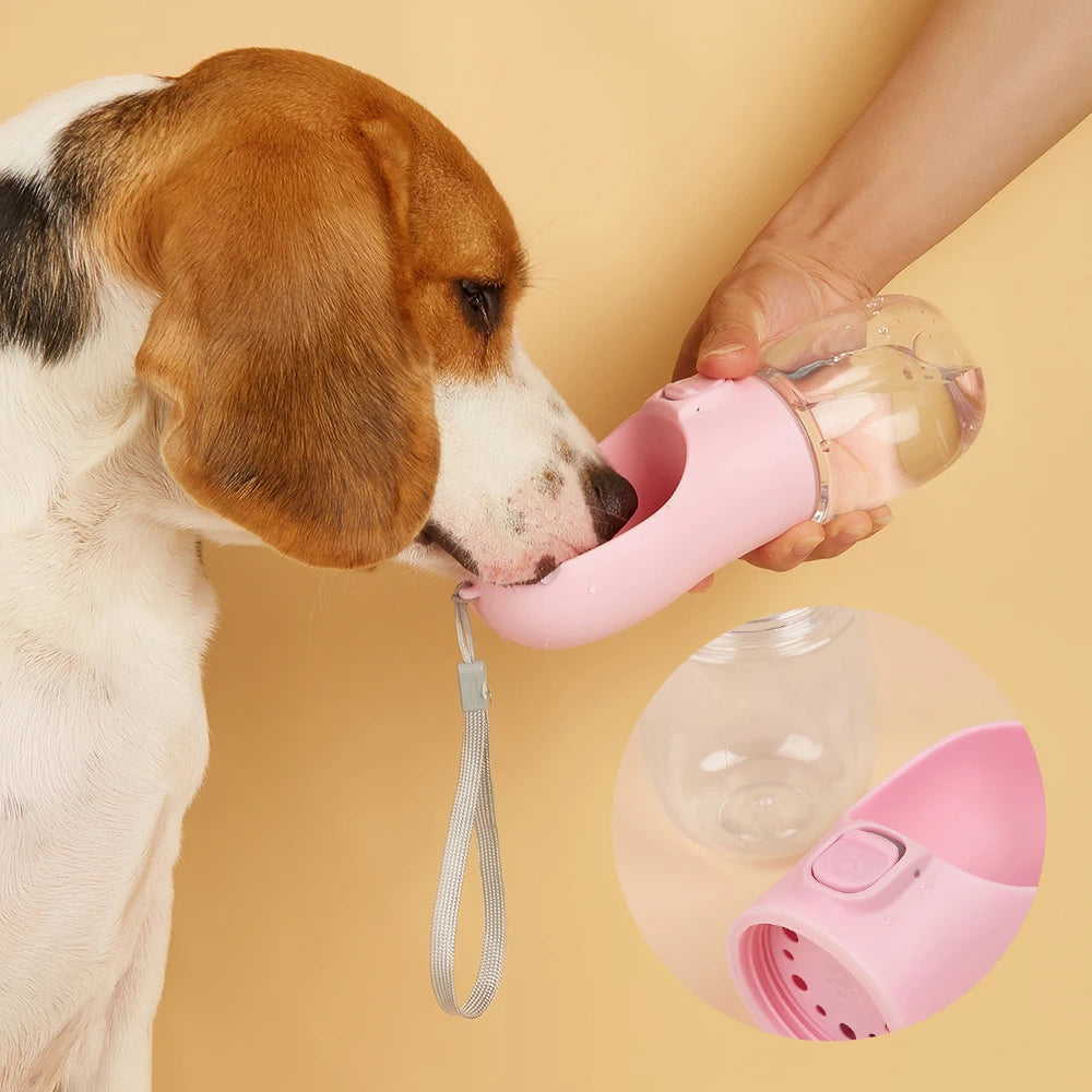 Hond Waterfles